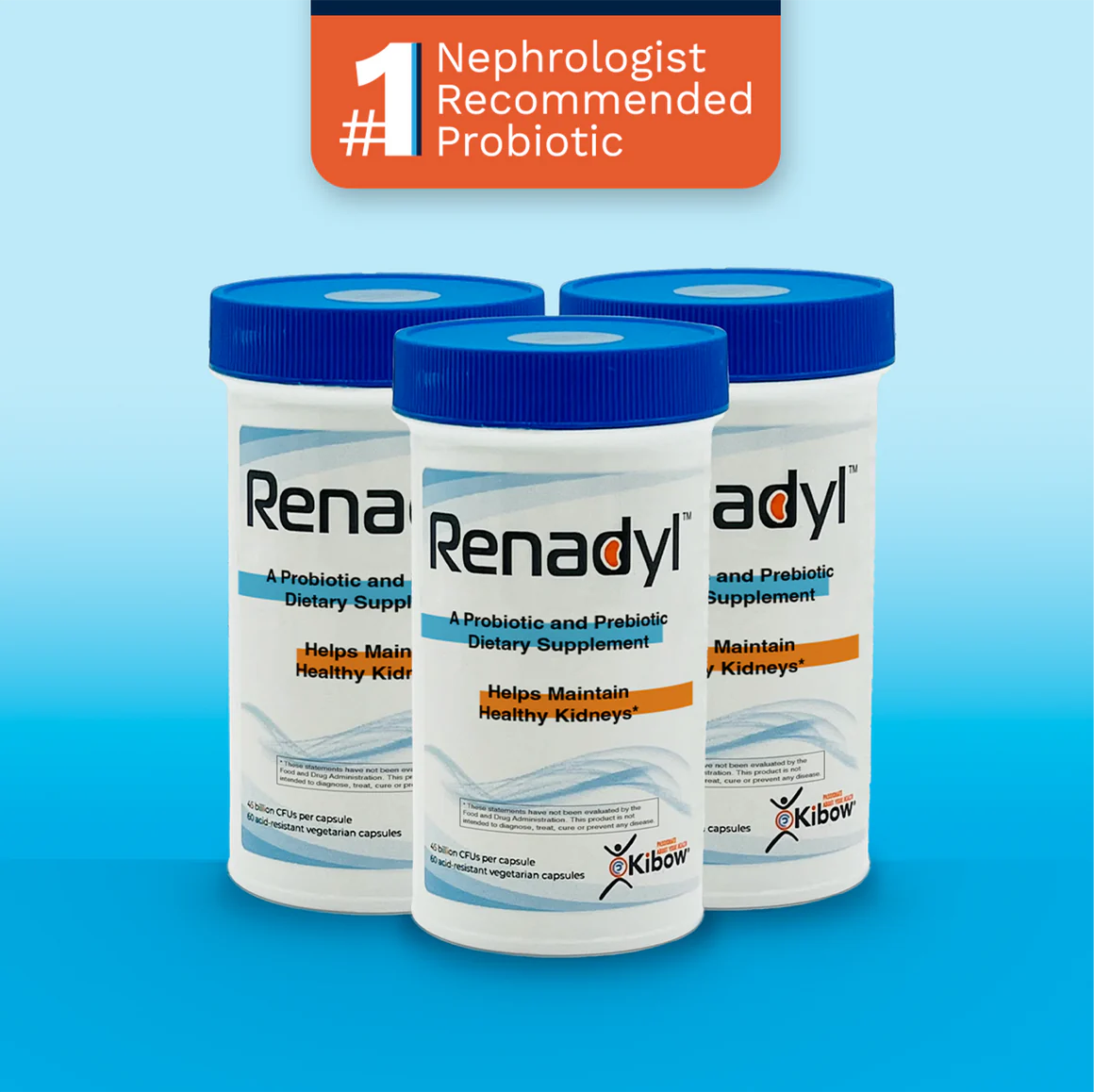 Renadyl Bottle 60 capsules – 90-day Pack
