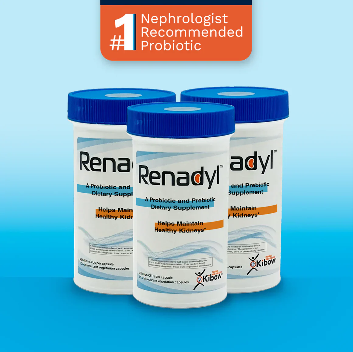 Apoyo Renal para Gatos y Perros: Rutina Diaria + Renadyl